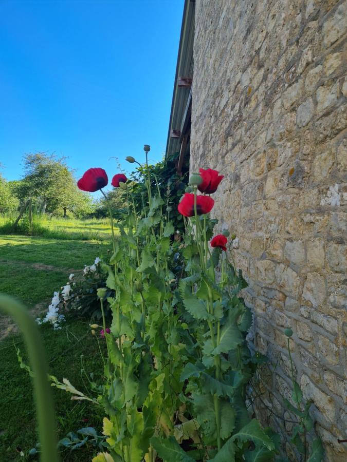 Bed and Breakfast Domaine De La Cour Vautier Mandeville-en-Bessin Esterno foto