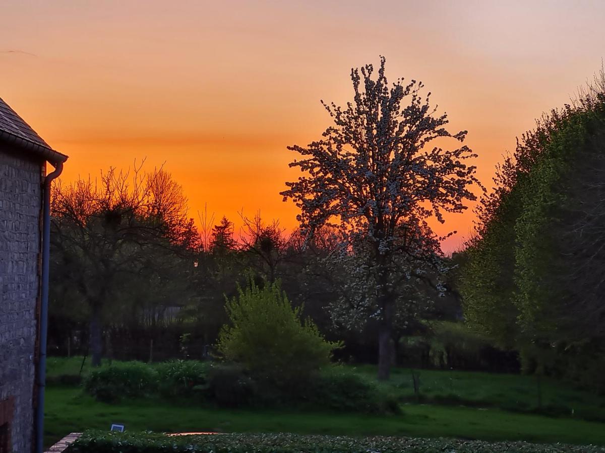 Bed and Breakfast Domaine De La Cour Vautier Mandeville-en-Bessin Esterno foto