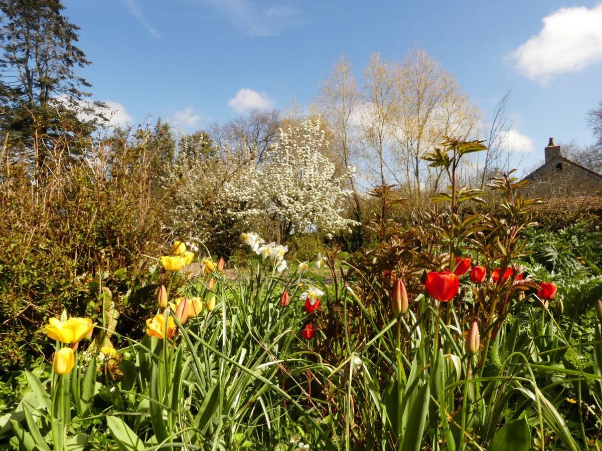 Bed and Breakfast Domaine De La Cour Vautier Mandeville-en-Bessin Esterno foto