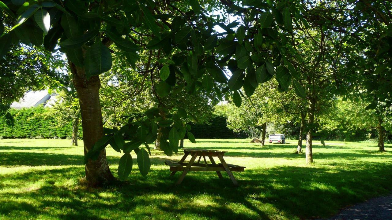 Bed and Breakfast Domaine De La Cour Vautier Mandeville-en-Bessin Esterno foto