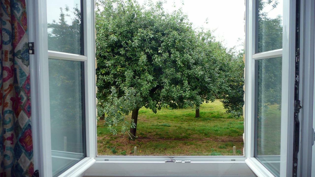 Bed and Breakfast Domaine De La Cour Vautier Mandeville-en-Bessin Esterno foto